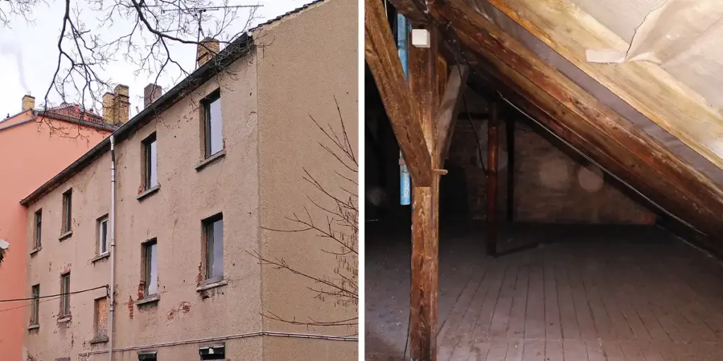 Dach Sternschuppen außen und innen